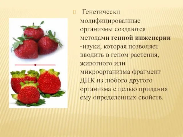 Генетически модифицированные организмы создаются методами генной инженерии -науки, которая позволяет вводить в