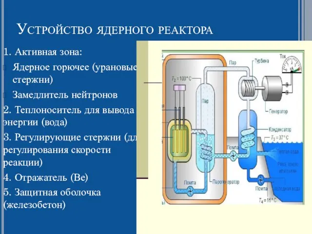 Устройство ядерного реактора 1. Активная зона: Ядерное горючее (урановые стержни) Замедлитель нейтронов