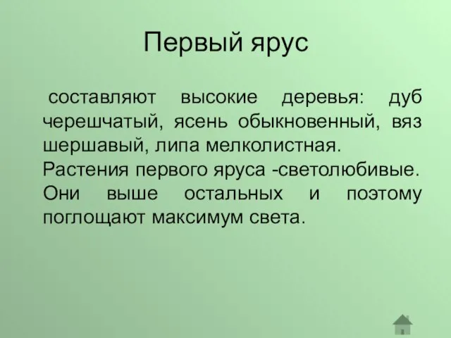 Первый ярус составляют высокие деревья: дуб черешчатый, ясень обыкновенный, вяз шершавый, липа