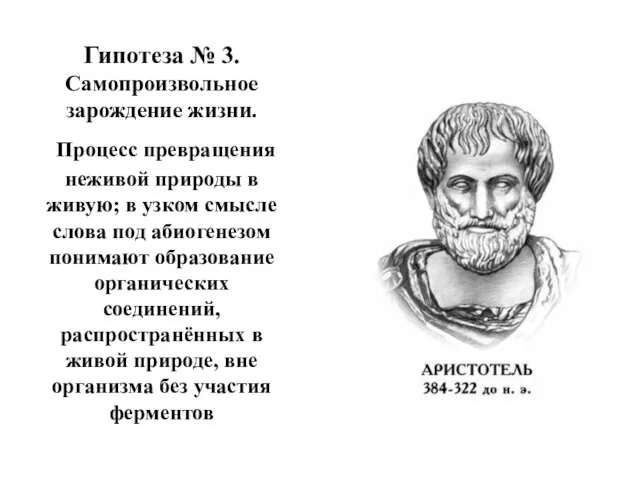 Гипотеза № 3. Самопроизвольное зарождение жизни. Процесс превращения неживой природы в живую;