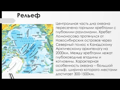 Рельеф Центральная часть дна океана пересечена горными хребтами с глубокими разломами. Хребет