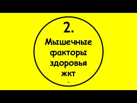 2. Мышечные факторы здоровья жкт