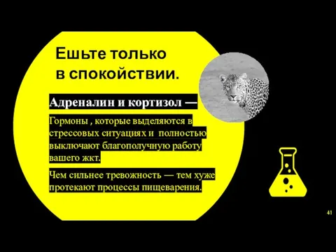 Ешьте только в спокойствии. Адреналин и кортизол — Гормоны , которые выделяются