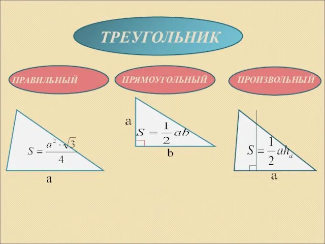 ТРЕУГОЛЬНИК ПРАВИЛЬНЫЙ ПРЯМОУГОЛЬНЫЙ ПРОИЗВОЛЬНЫЙ