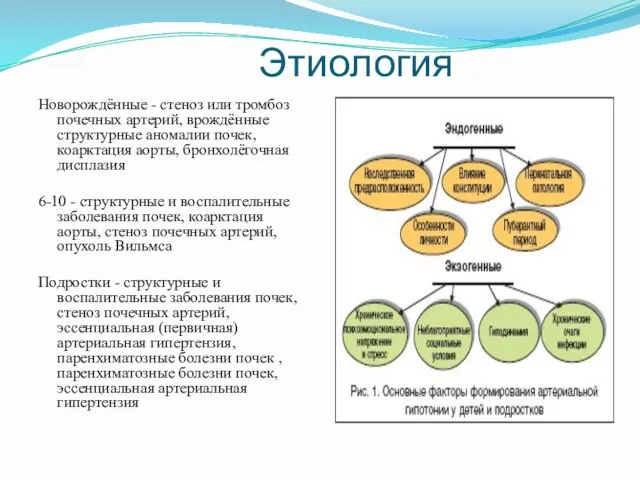 Этиология Новорождённые - стеноз или тромбоз почечных артерий, врождённые структурные аномалии почек,