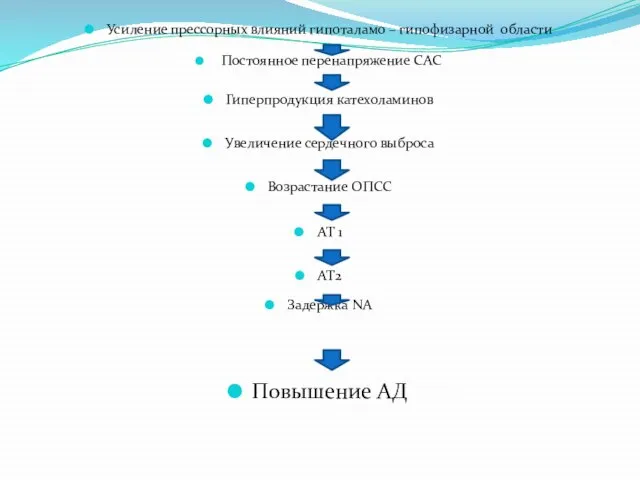 Усиление прессорных влияний гипоталамо – гипофизарной области Постоянное перенапряжение САС Гиперпродукция катехоламинов