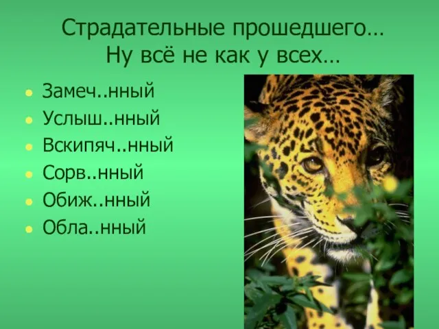 Страдательные прошедшего… Ну всё не как у всех… Замеч..нный Услыш..нный Вскипяч..нный Сорв..нный Обиж..нный Обла..нный