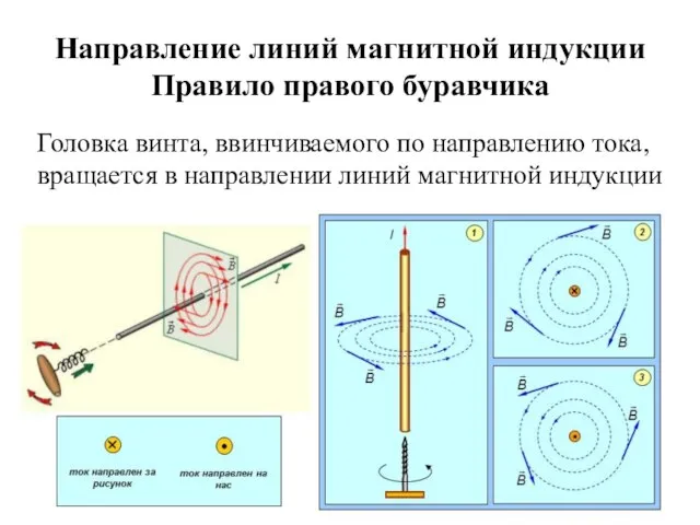 Направление линий магнитной индукции Правило правого буравчика Головка винта, ввинчиваемого по направлению