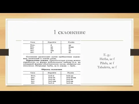 1 склонение E. g.: Herba, ae f Pilula, ae f Tabuletta, ae f