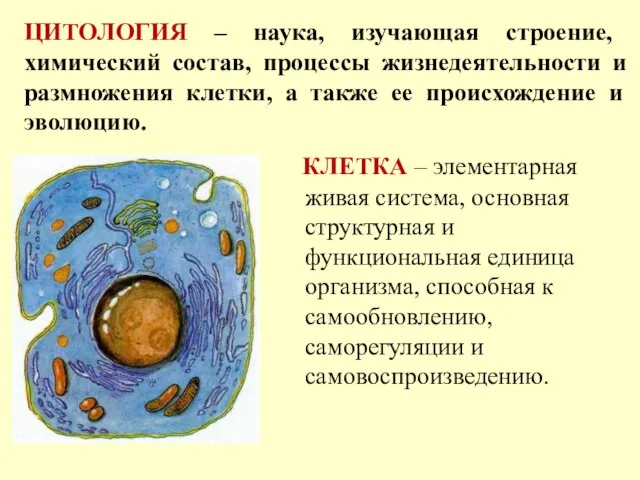 ЦИТОЛОГИЯ – наука, изучающая строение, химический состав, процессы жизнедеятельности и размножения клетки,