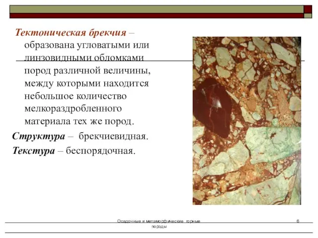 Осадочные и метаморфические горные породы Тектоническая брекчия – образована угловатыми или линзовидными