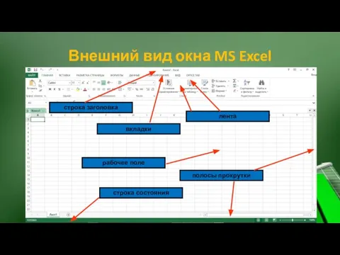 Внешний вид окна MS Excel строка заголовка вкладки лента рабочее поле полосы прокрутки строка состояния