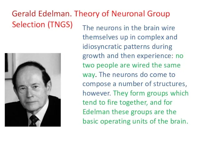 Gerald Edelman. Theory of Neuronal Group Selection (TNGS) The neurons in the