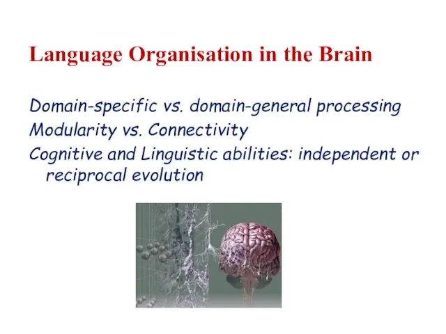 Language Organisation in the Brain Domain-specific vs. domain-general processing Modularity vs. Connectivity