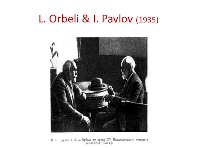 L. Orbeli & I. Pavlov (1935)