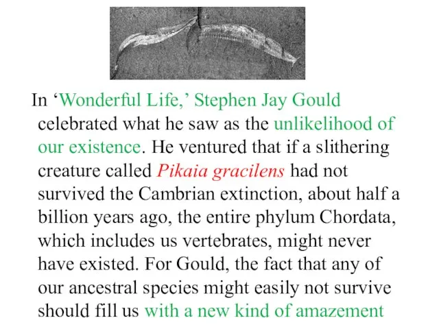 In ‘Wonderful Life,’ Stephen Jay Gould celebrated what he saw as the