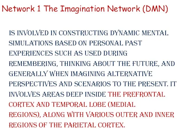 Network 1 The Imagination Network (DMN) is involved in constructing dynamic mental
