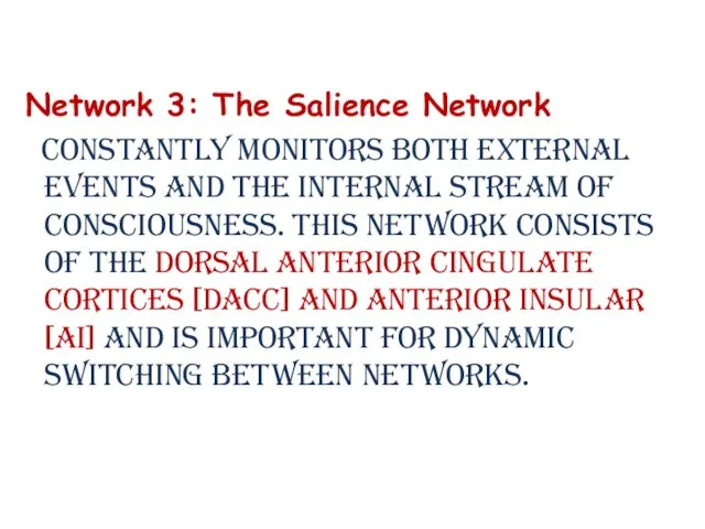 Network 3: The Salience Network constantly monitors both external events and the