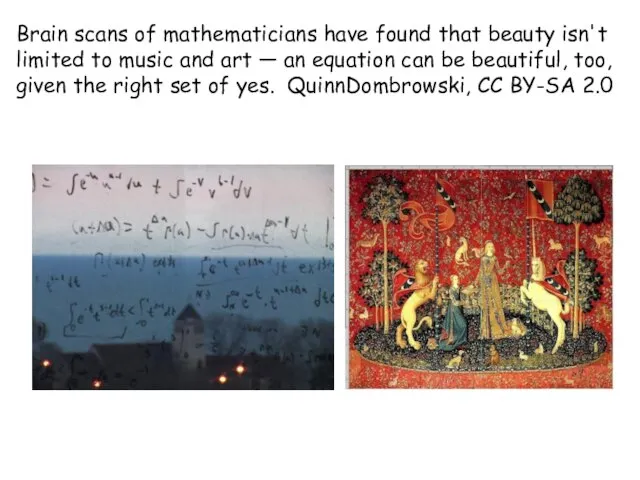Brain scans of mathematicians have found that beauty isn't limited to music