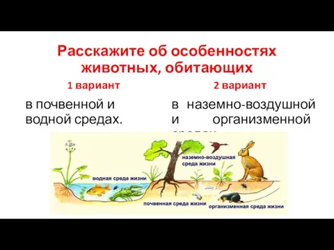 Расскажите об особенностях животных, обитающих 1 вариант в почвенной и водной средах.