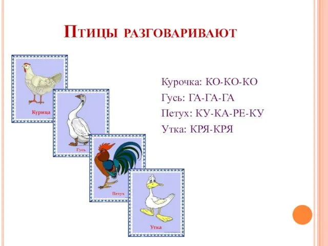 Птицы разговаривают Курочка: КО-КО-КО Гусь: ГА-ГА-ГА Петух: КУ-КА-РЕ-КУ Утка: КРЯ-КРЯ