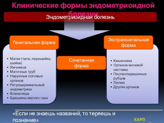 Кишечника Органов мочевой системы Послеоперацонных рубцов Легких Других органов Матки (тела, перешейка,