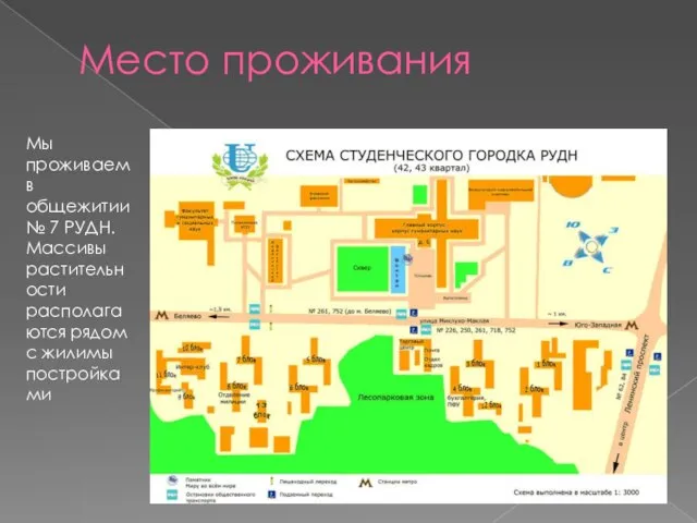 Место проживания Мы проживаем в общежитии № 7 РУДН. Массивы растительности располагаются рядом с жилимы постройками