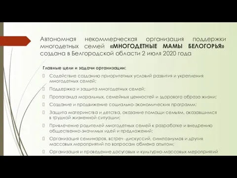 Автономная некоммерческая организация поддержки многодетных семей «МНОГОДЕТНЫЕ МАМЫ БЕЛОГОРЬЯ» создана в Белгородской