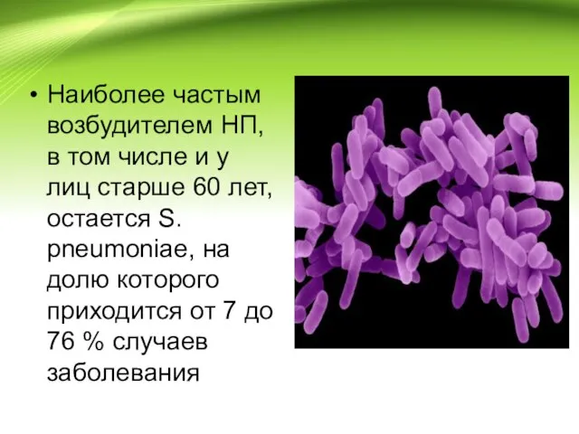 Наиболее частым возбудителем НП, в том числе и у лиц старше 60