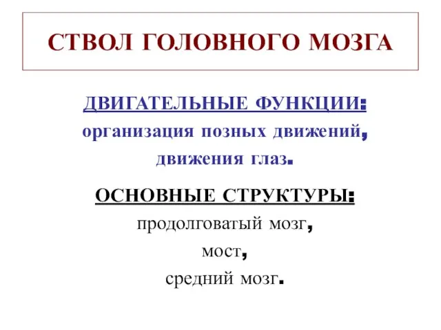 СТВОЛ ГОЛОВНОГО МОЗГА ДВИГАТЕЛЬНЫЕ ФУНКЦИИ: организация позных движений, движения глаз. ОСНОВНЫЕ СТРУКТУРЫ: