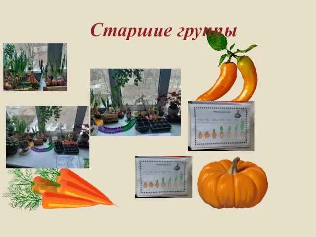 Старшие группы