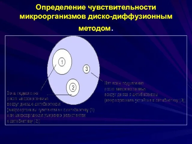 Определение чувствительности микроорганизмов диско-диффузионным методом.