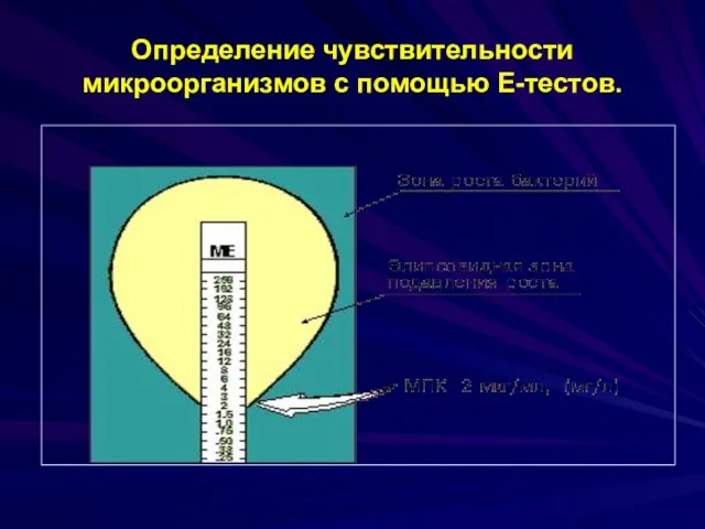 Определение чувствительности микроорганизмов с помощью Е-тестов.