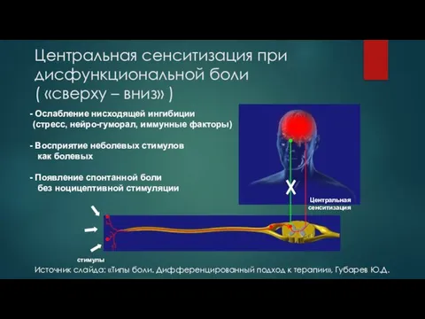 Центральная сенситизация при дисфункциональной боли ( «сверху – вниз» ) Центральная сенситизация