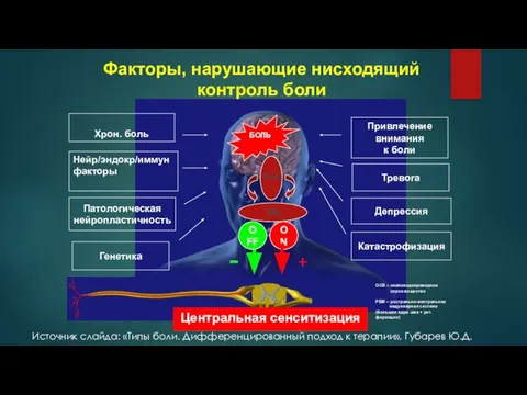 Патологическая нейропластичность Привлечение внимания к боли Депрессия Хрон. боль Нейр/эндокр/иммун факторы Катастрофизация