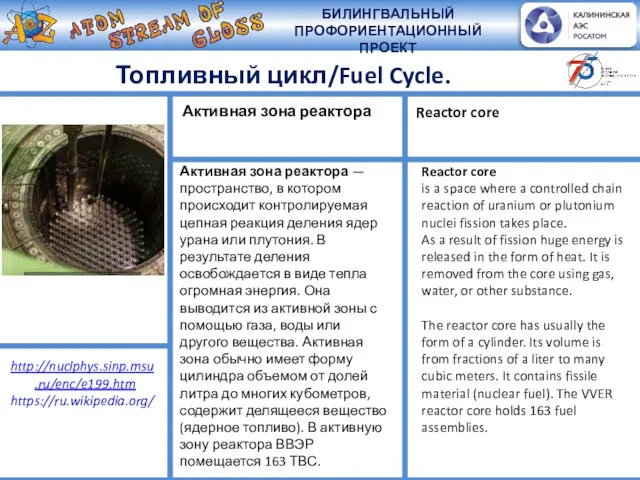 Топливный цикл/Fuel Cycle. Активная зона реактора — пространство, в котором происходит контролируемая