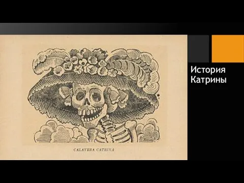 История Катрины