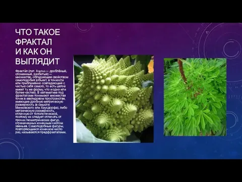 ЧТО ТАКОЕ ФРАКТАЛ И КАК ОН ВЫГЛЯДИТ Фракта́л (лат. Fractus — дроблёный,