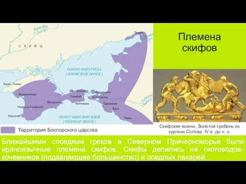 Территория Боспорского царства Ближайшими соседями греков в Северном Причерноморье были ираноязычные племена