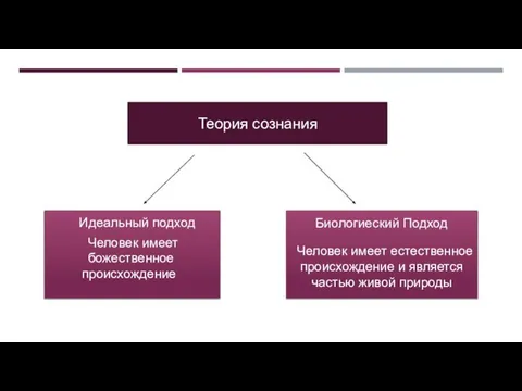 Теория сознания Человек имеет естественное происхождение и является частью живой природы Биологиеский