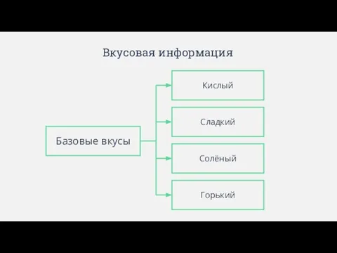 Вкусовая информация Базовые вкусы Кислый Солёный Сладкий Горький