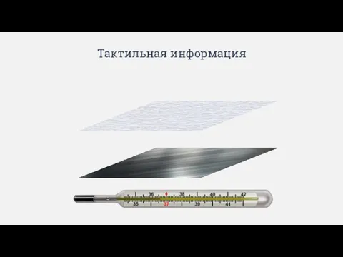 Тактильная информация