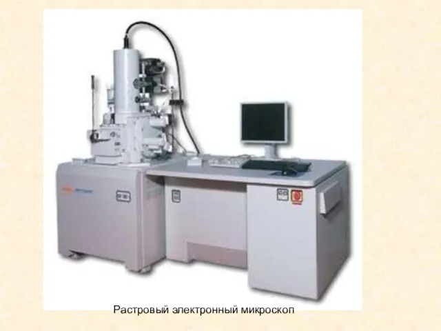 Растровый электронный микроскоп