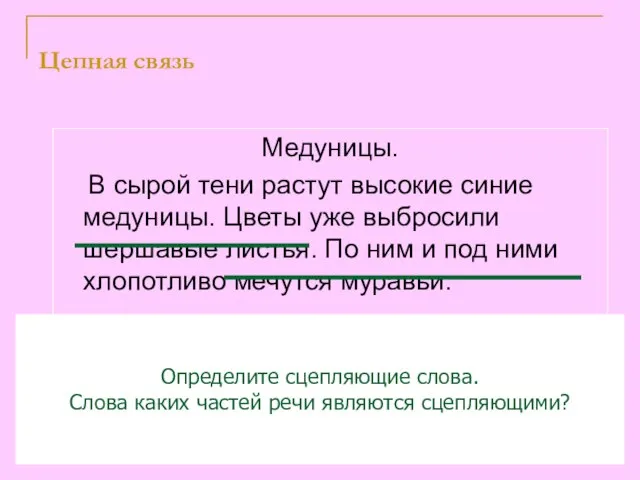 Цепная связь Медуницы. В сырой тени растут высокие синие медуницы. Цветы уже