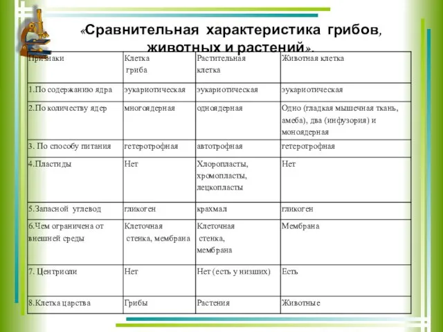 «Сравнительная характеристика грибов, животных и растений».