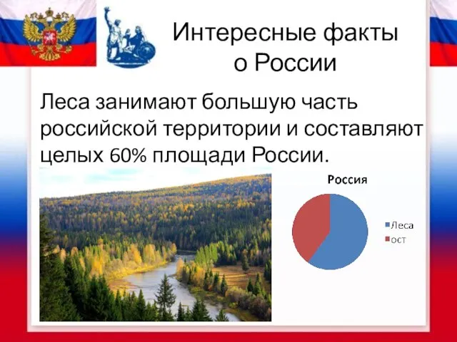 Интересные факты о России Леса занимают большую часть российской территории и составляют целых 60% площади России.