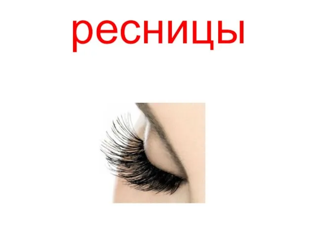 ресницы