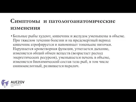 Симптомы и патологоанатомические изменения Больные рыбы худеют, кишечник и желудок уменьшены в