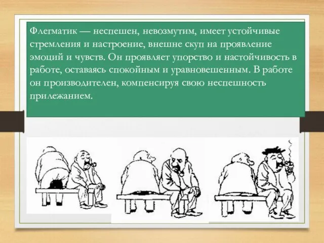 Флегматик — неспешен, невозмутим, имеет устойчивые стремления и настроение, внешне скуп на