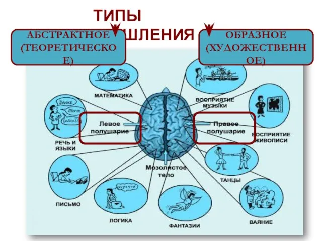 ТИПЫ МЫШЛЕНИЯ АБСТРАКТНОЕ (ТЕОРЕТИЧЕСКОЕ) ОБРАЗНОЕ (ХУДОЖЕСТВЕННОЕ)